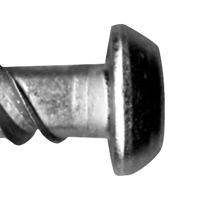 Security Dome Head Screwbolt
